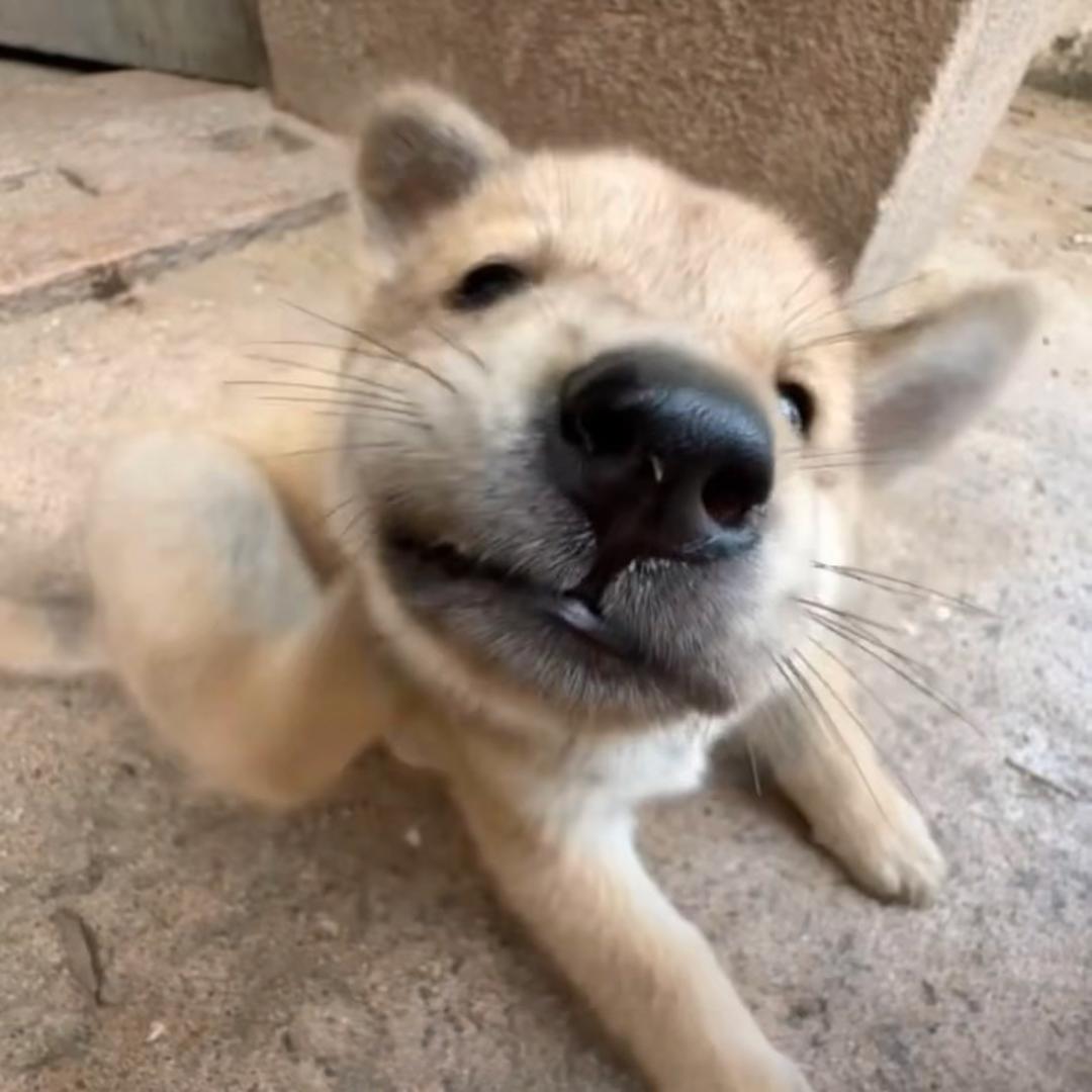 等