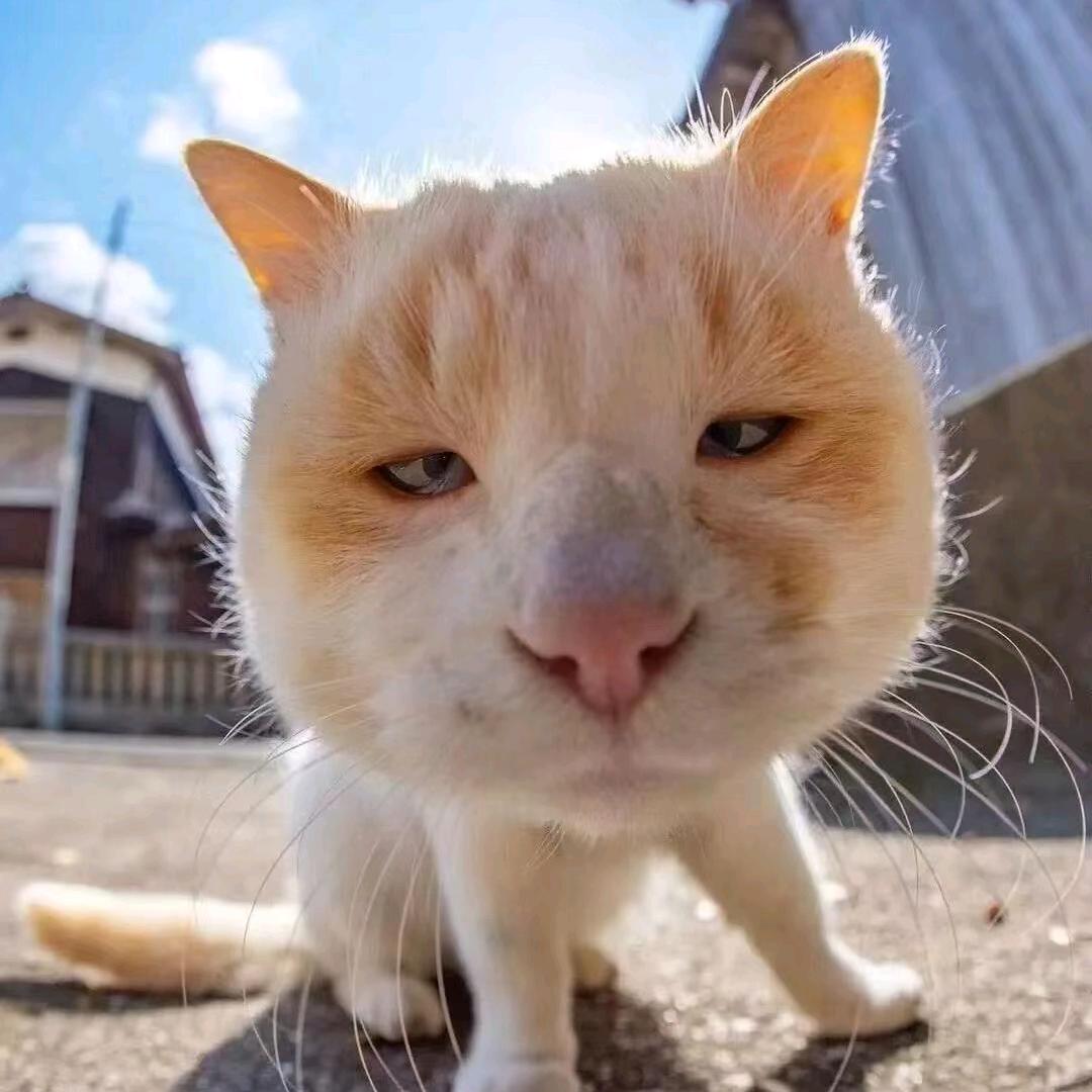 昭伱欢喜💕
