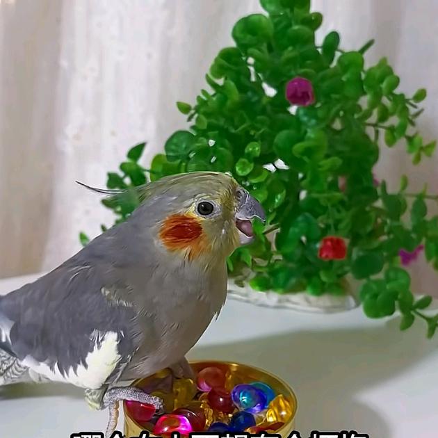 有一种思念叫永远