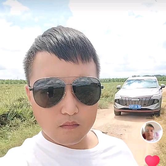 海南凤梨专业种植，产地代收.代发.