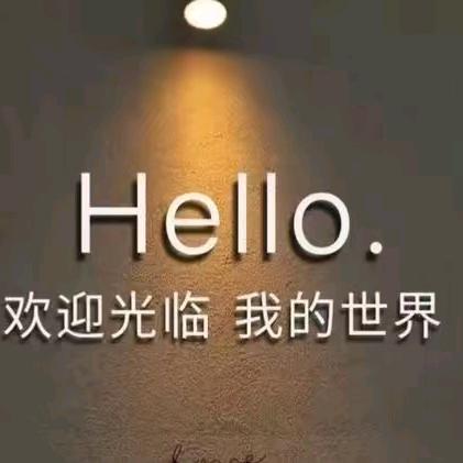 踏雪寻梅