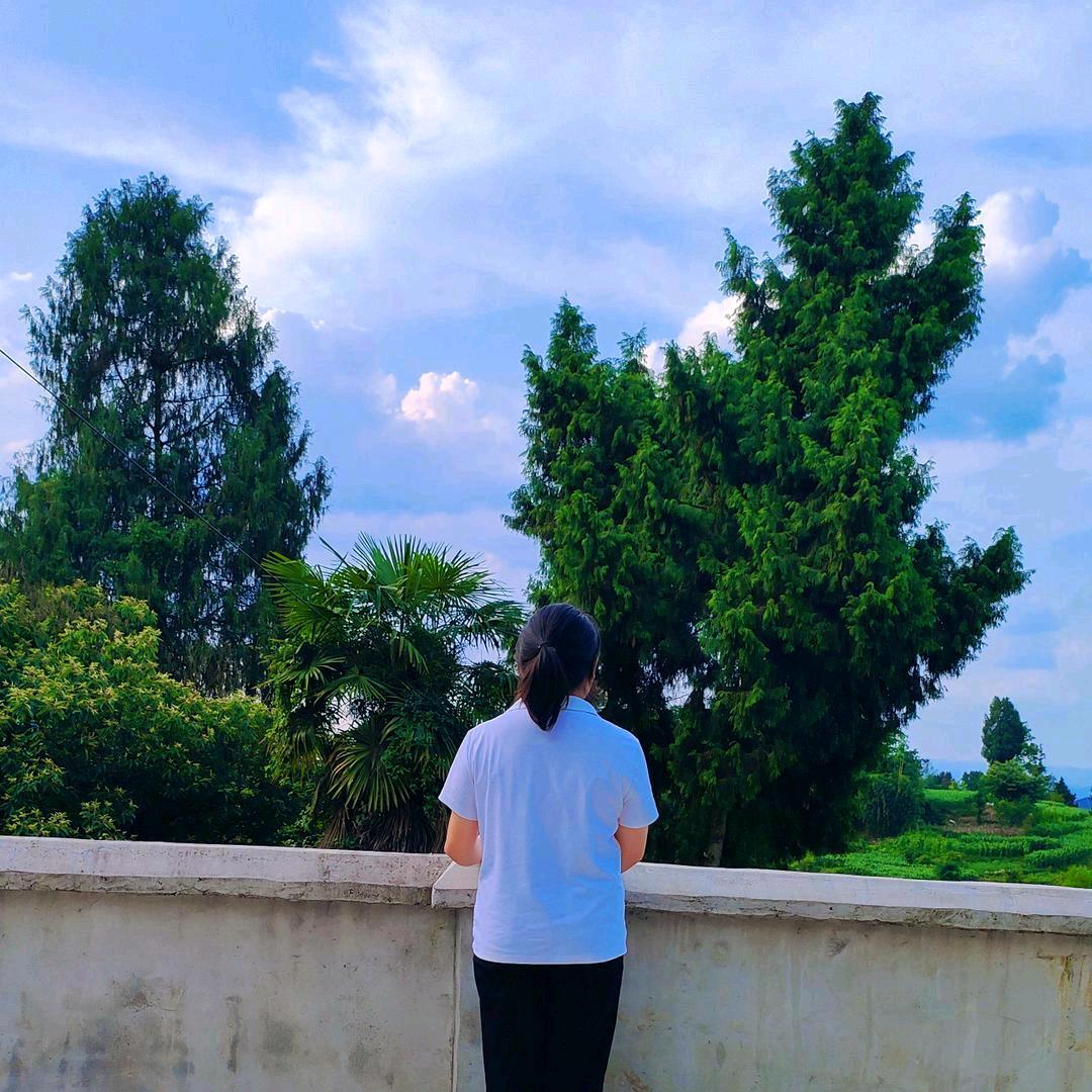 小小二妹🌻