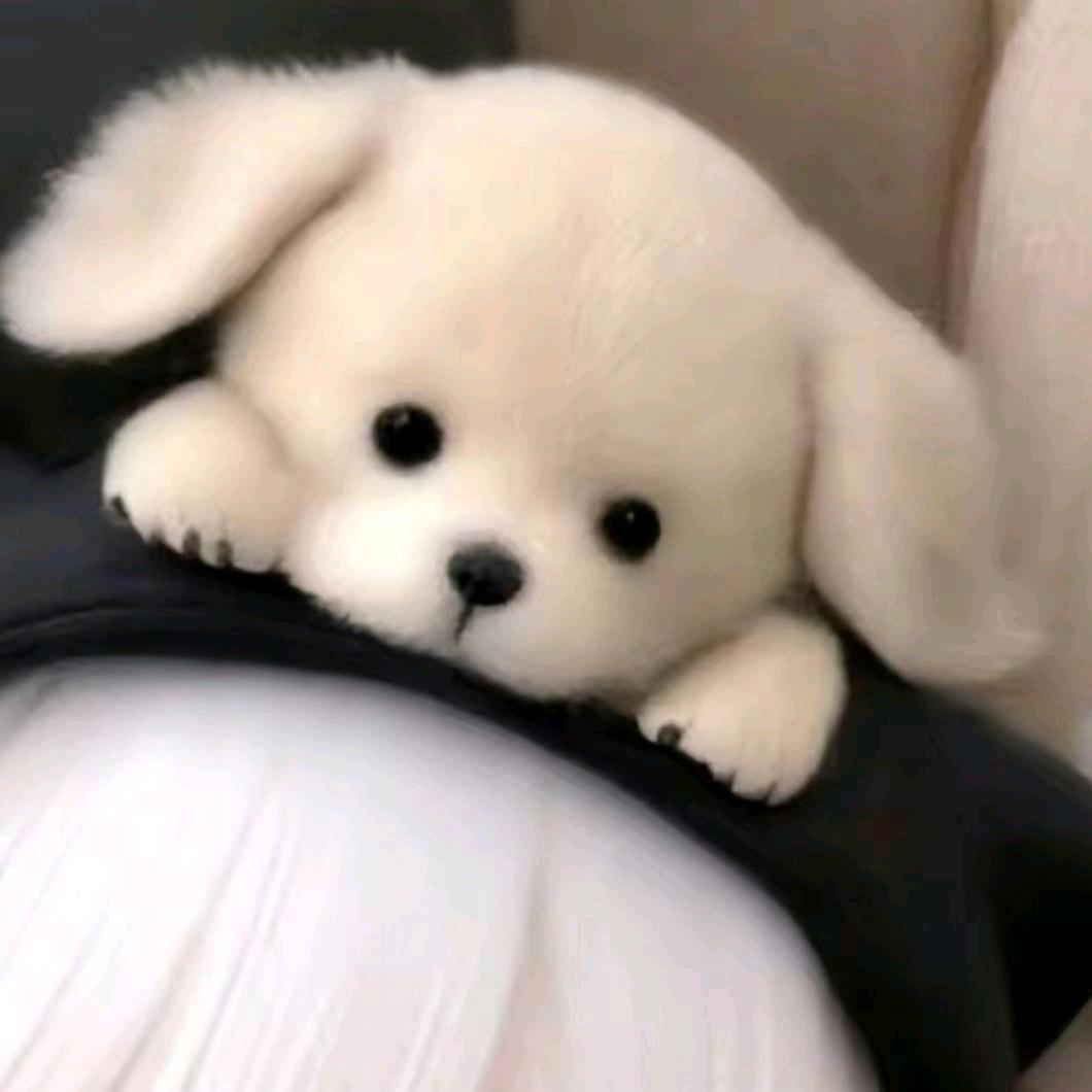 阿阿阿小淘
