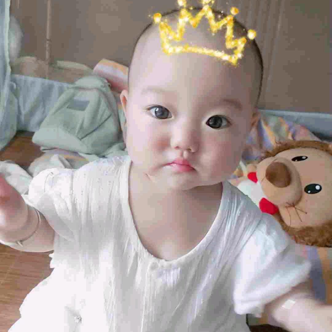 hsong   小金鱼