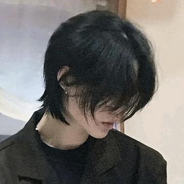 不当甲鸟