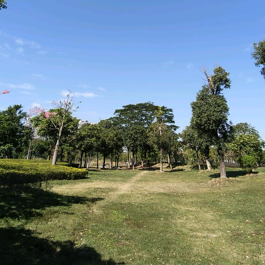 小助理🌞一家人