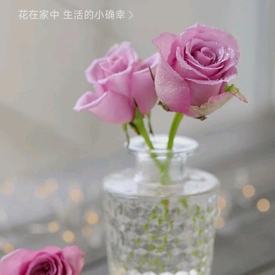 小小