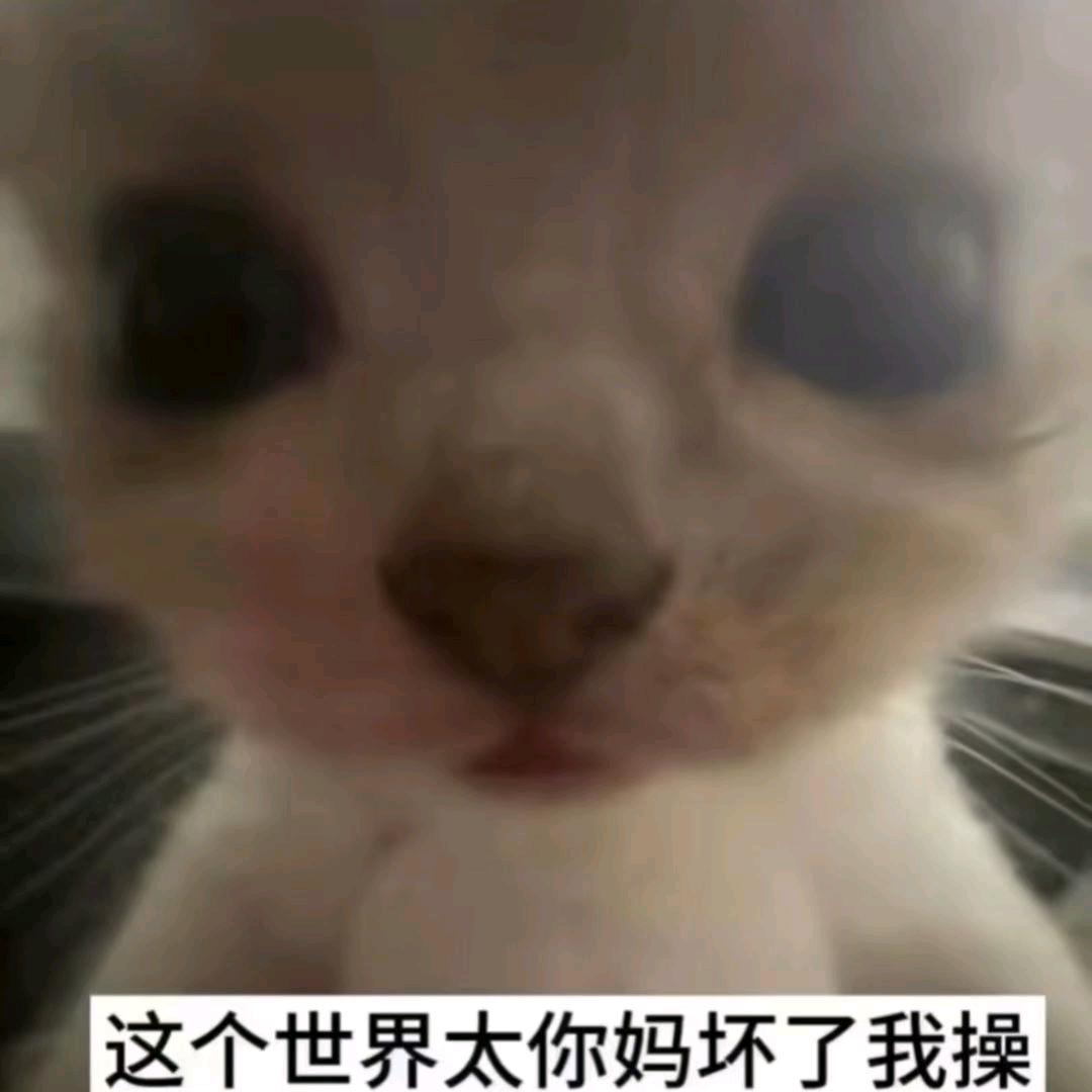 葛彭的小迷弟