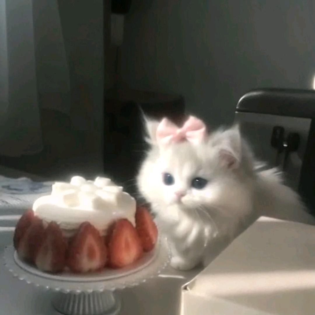 正义之风终将盛行