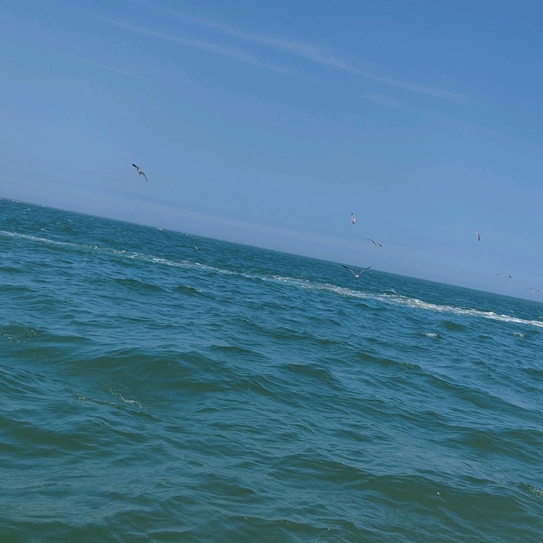 ᝰꫛ诗和远方ꫀꪝ