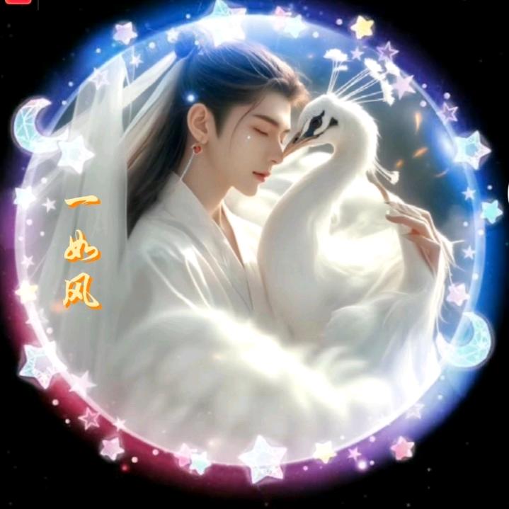 🌹🌹🌺🌺丢丢🌹🌹🌺🌺