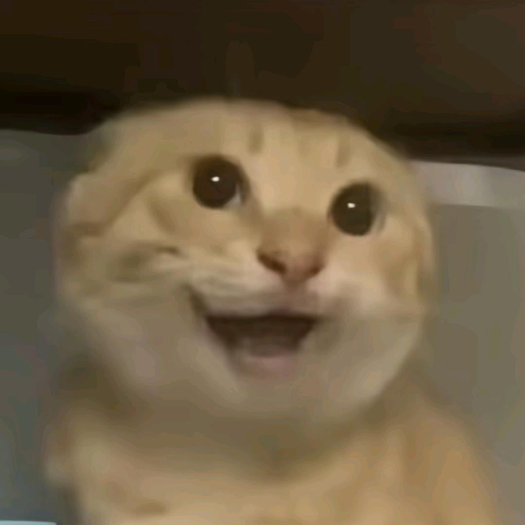 哈基米