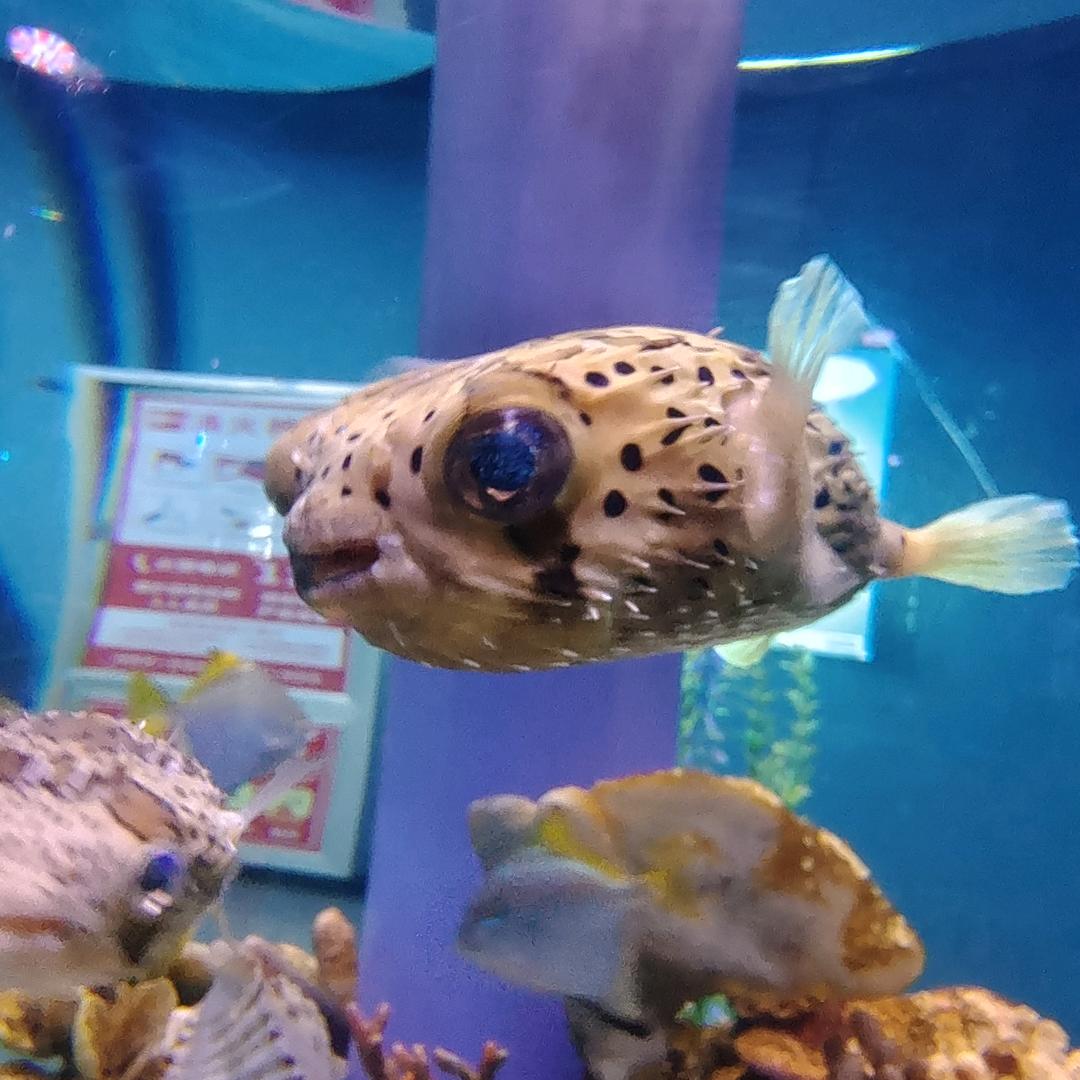 是陈陈呀
