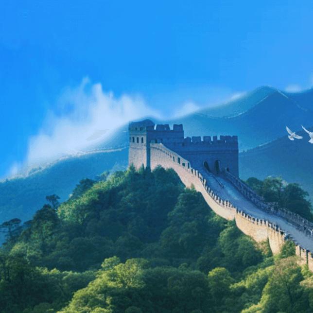 🐑🐑🐑🐑🐑🐑🐑🐑