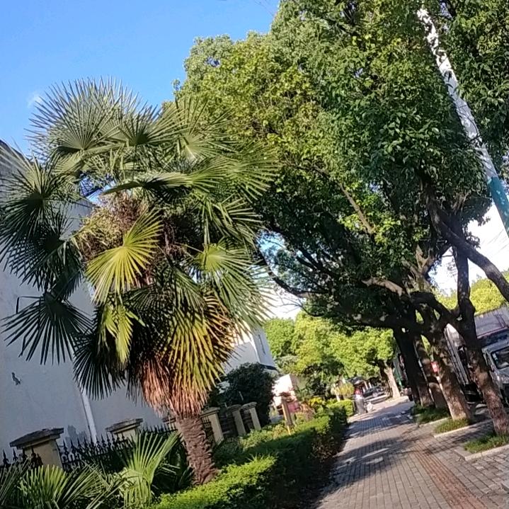拾忆亿
