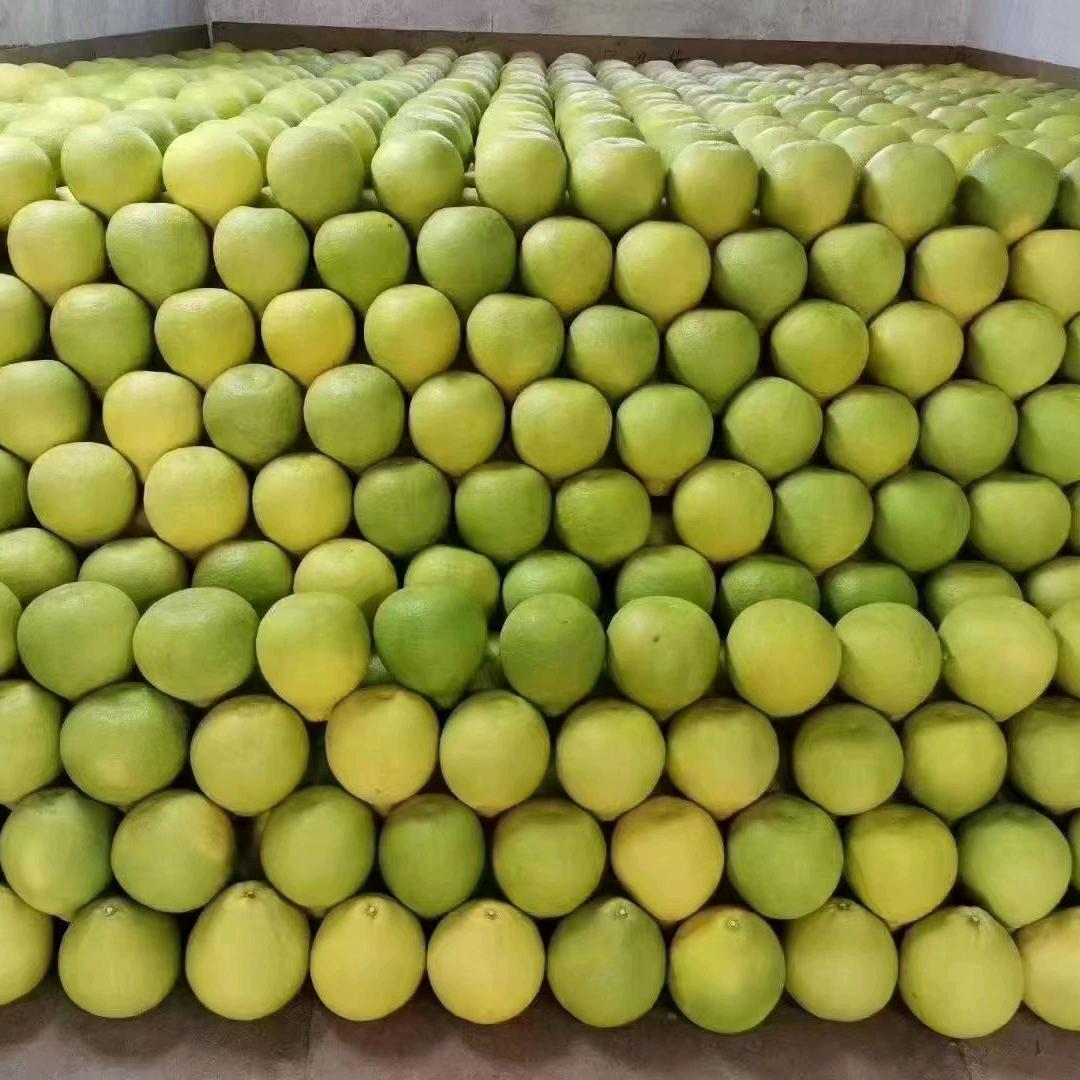 柚子哥（记录生活）