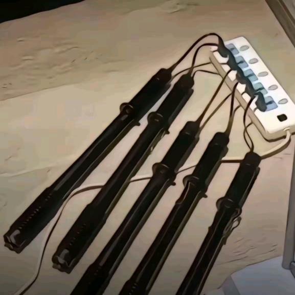 鲤蓝.𝙇