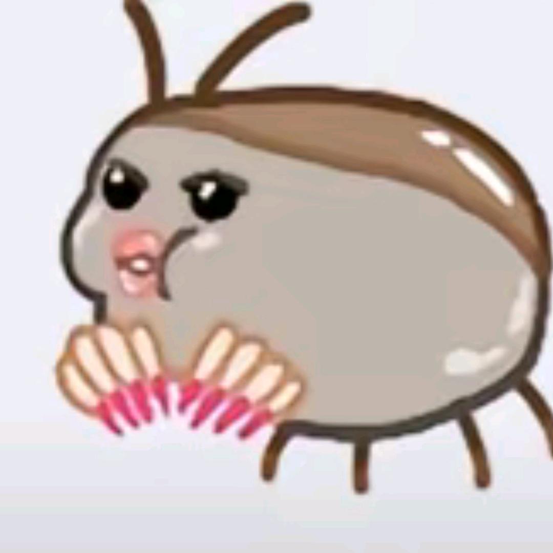 小鱼