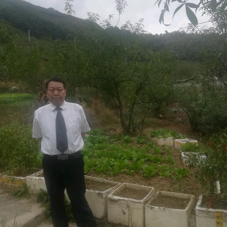 用户5323924895082老李