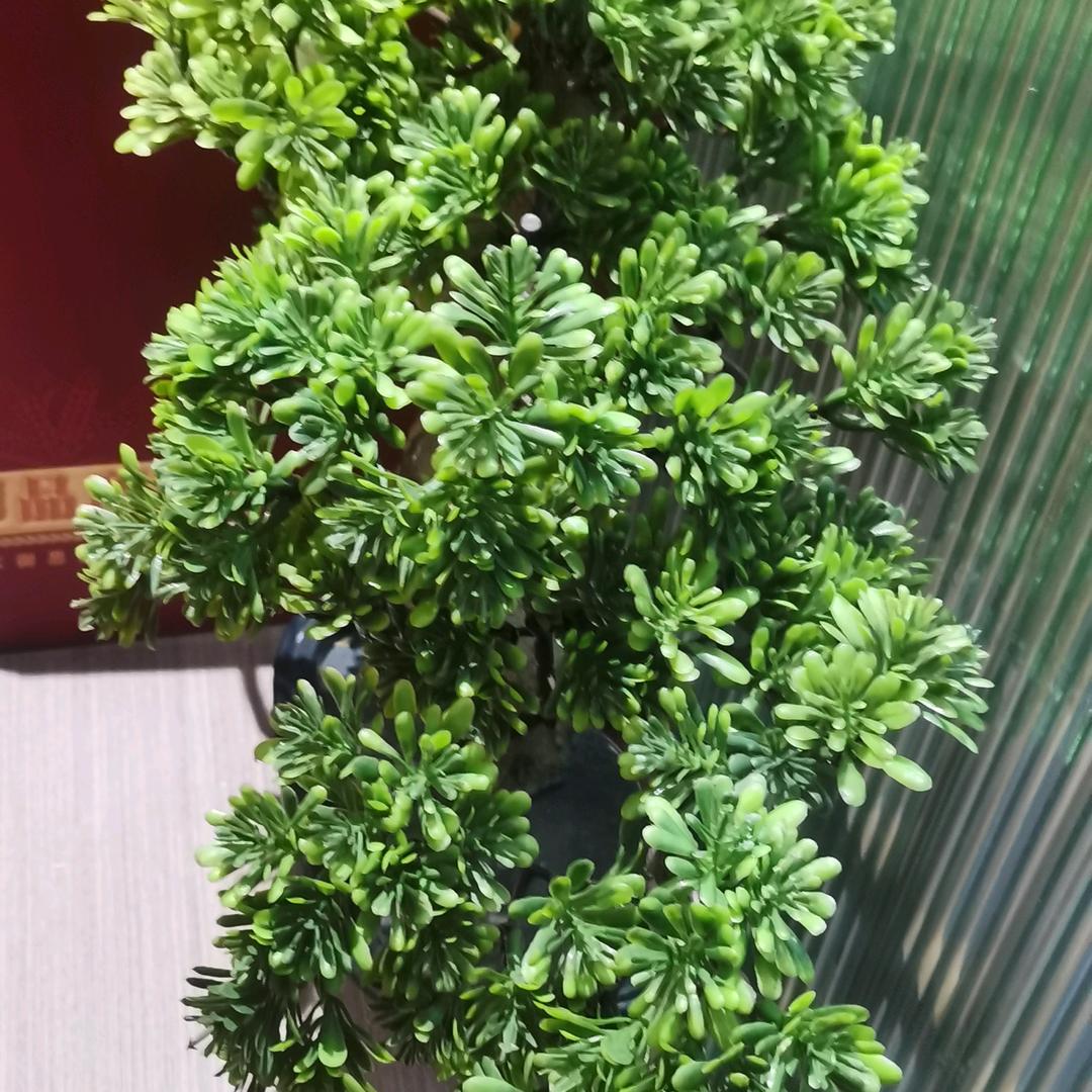 我心永恒495018