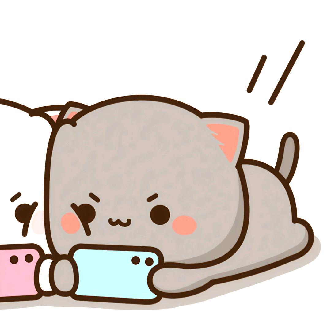 格式