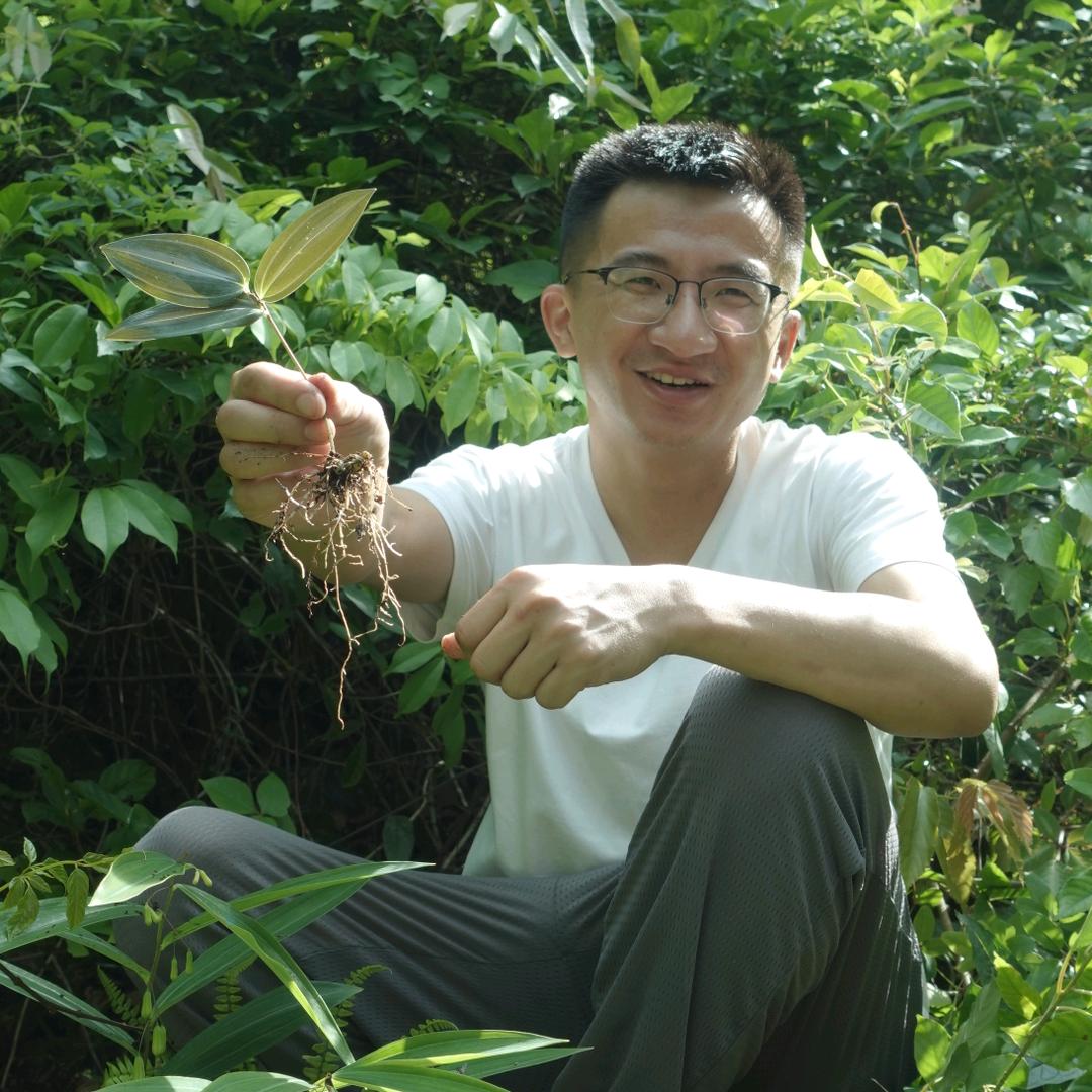 林间小海
