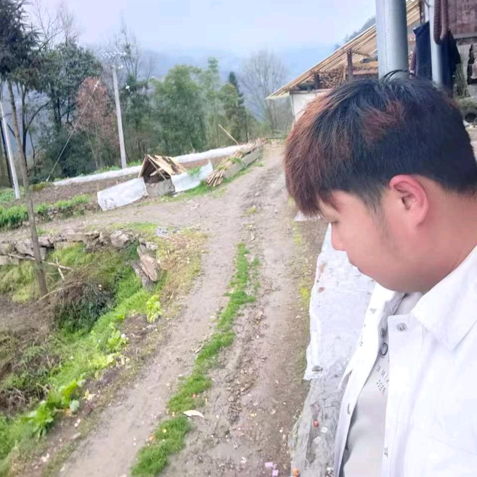 诚