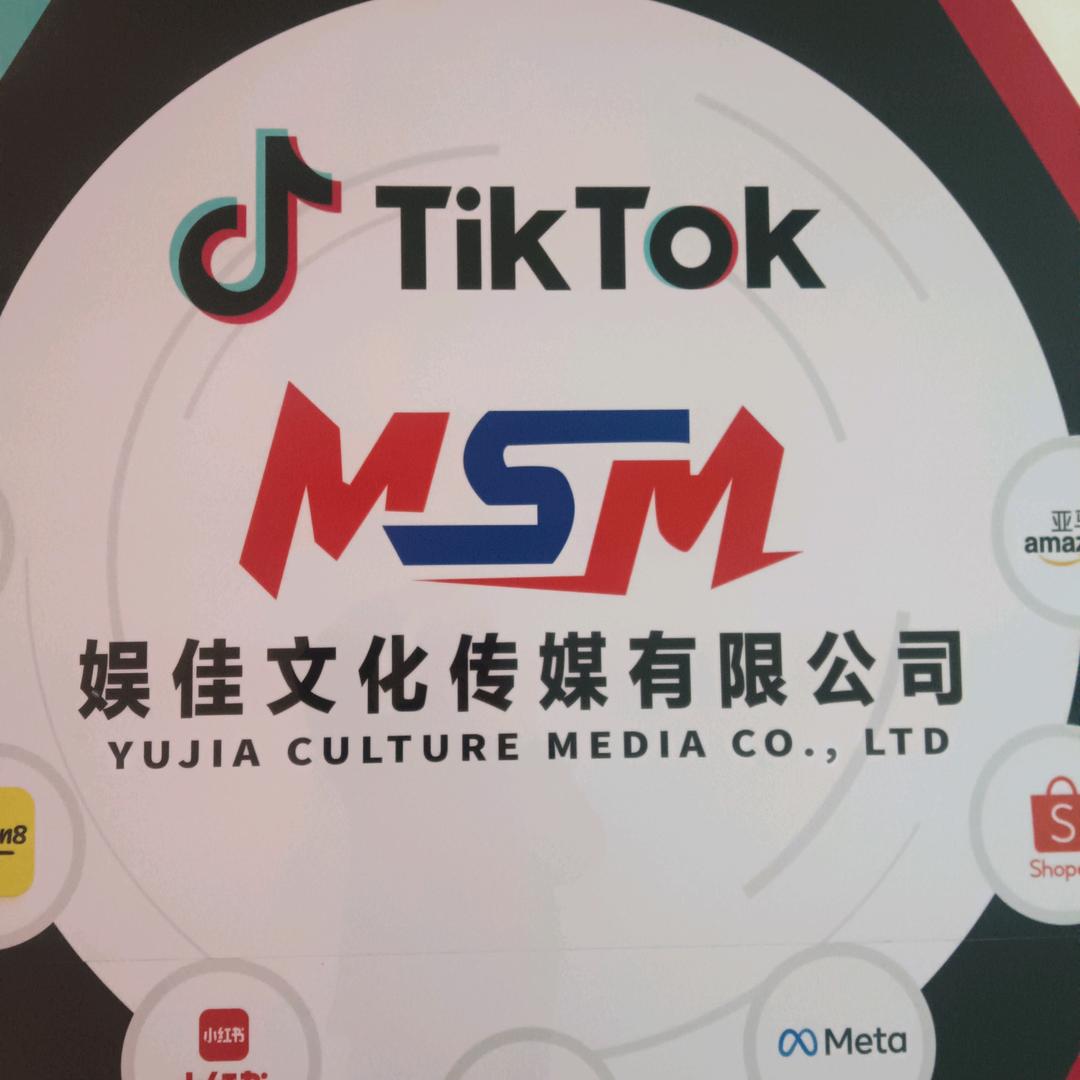 MSM娱佳传媒