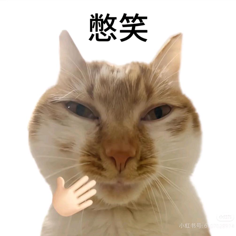 梨栀💤