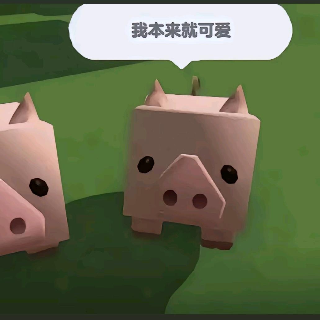 是小马呀