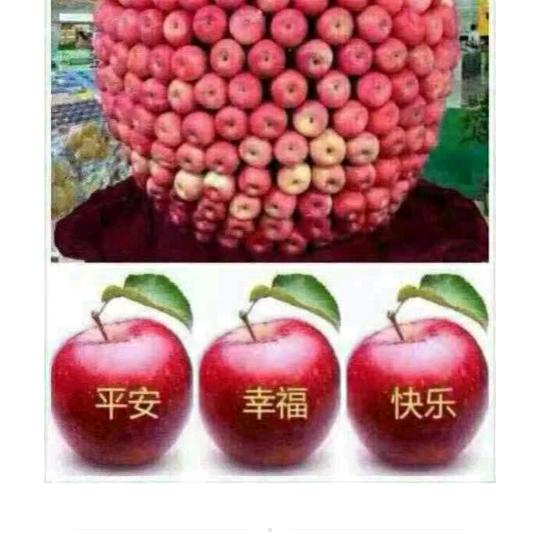 大秀