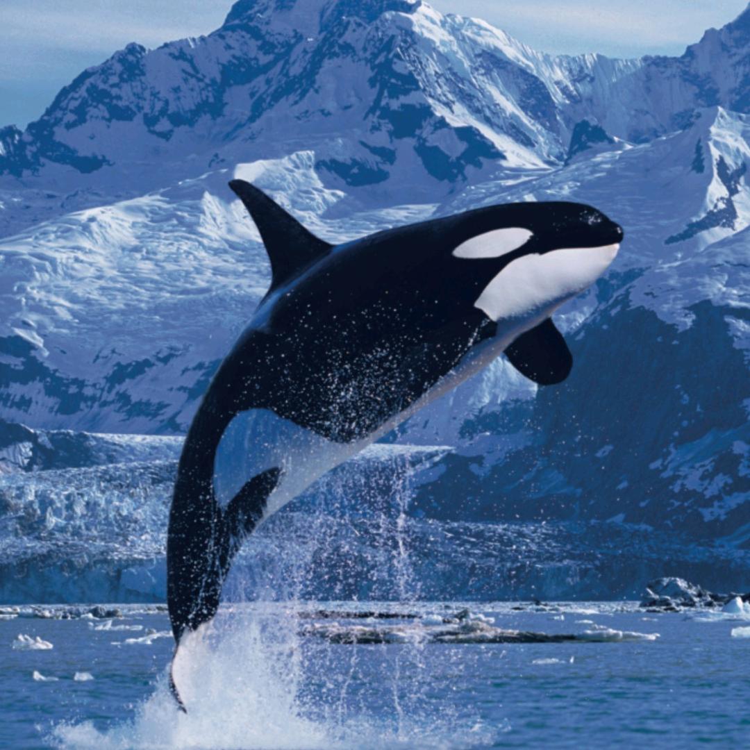 东方教父【沉浸码字】