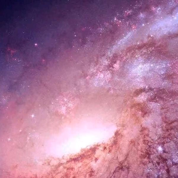 越南平仙鞋（见过周杰伦版）