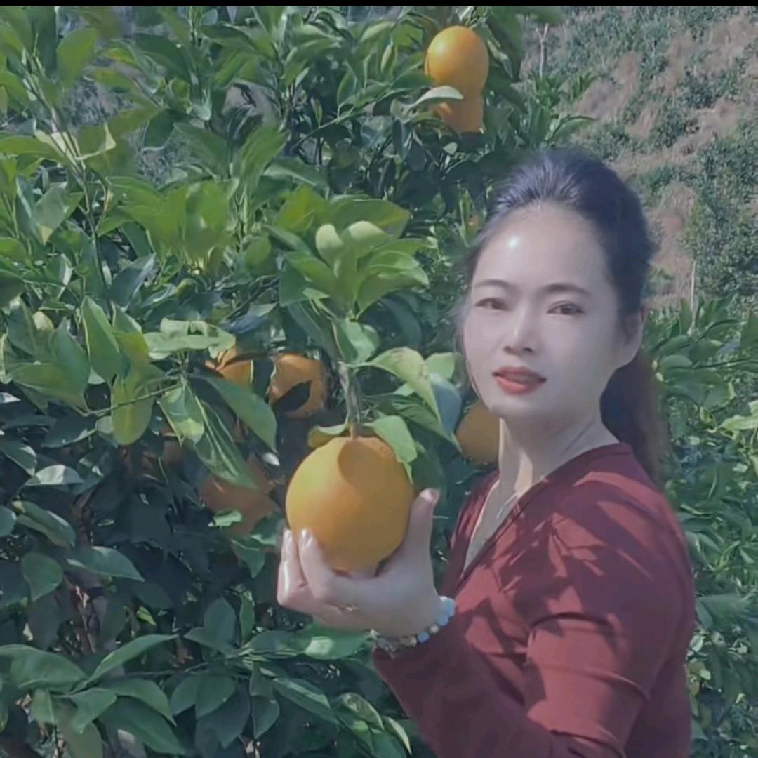 美丽橙乡