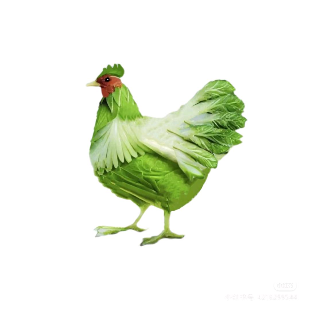 打游戏的菜鸡