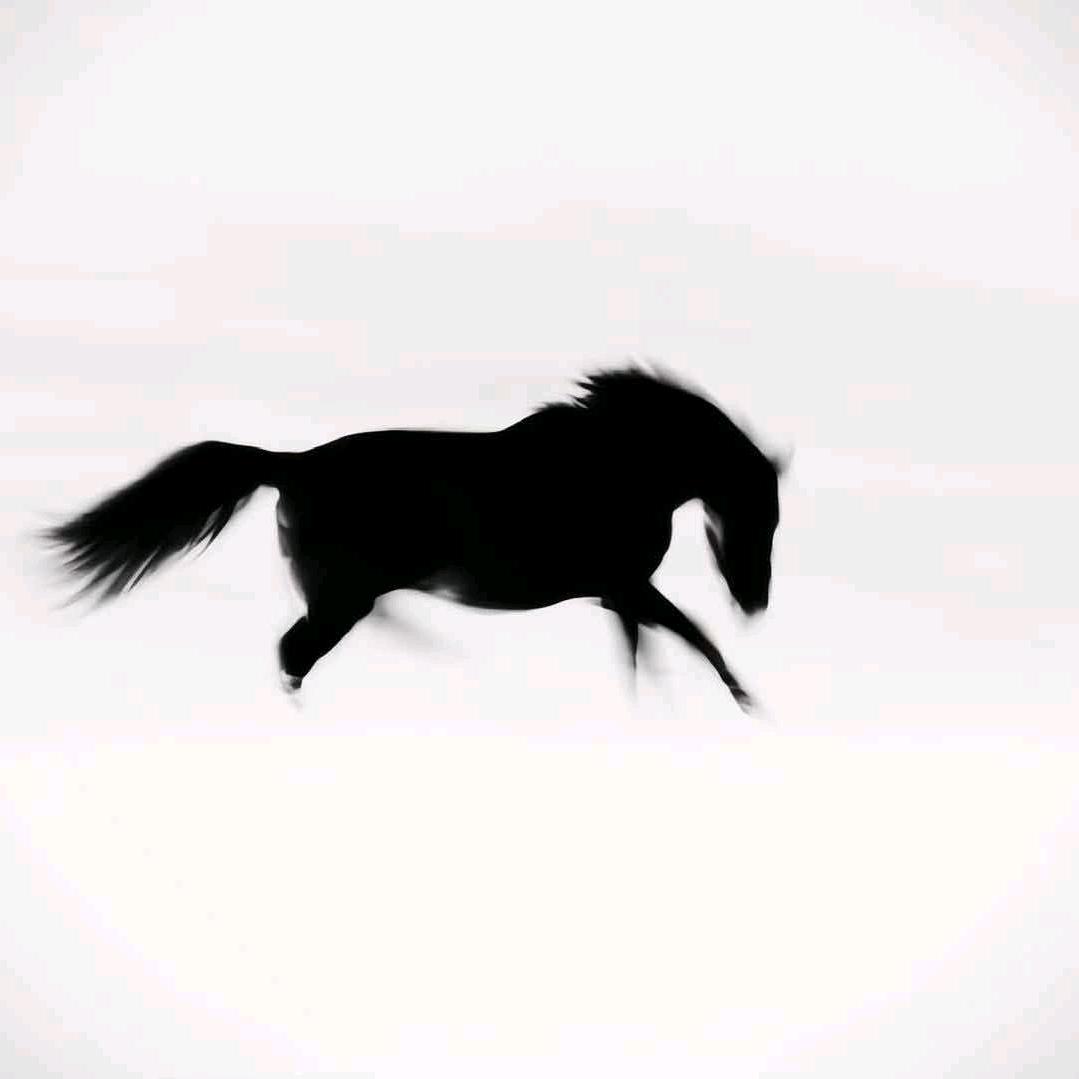 仁