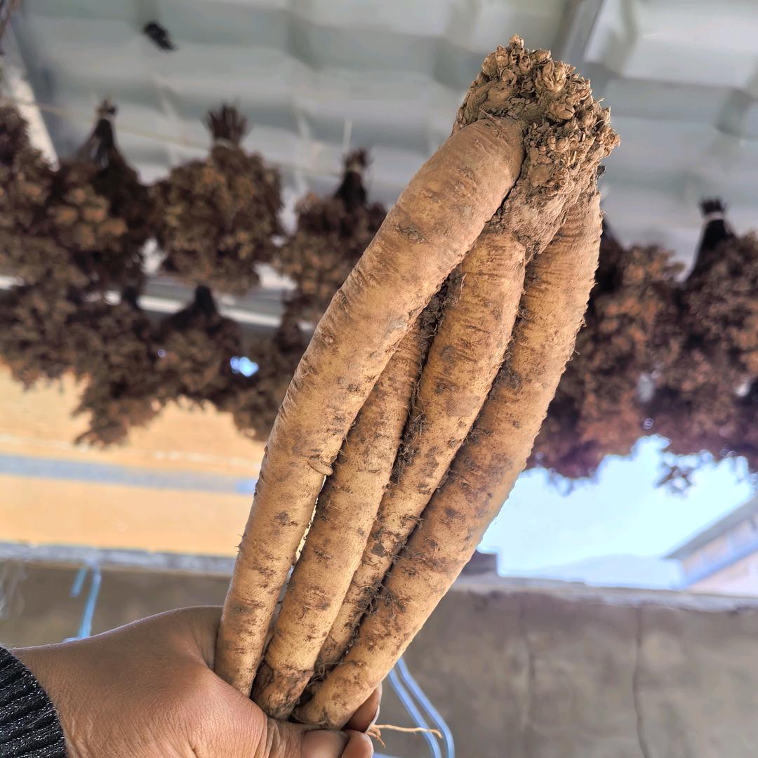 漳县参芪农产品电子商务店