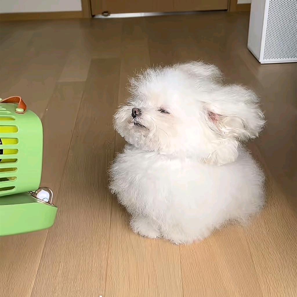 KFC在逃焦糖布丁