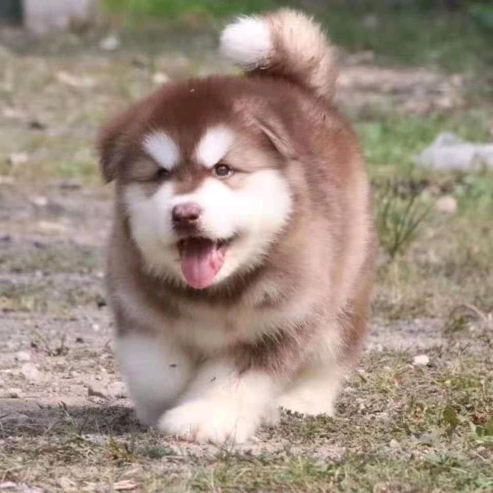 周日