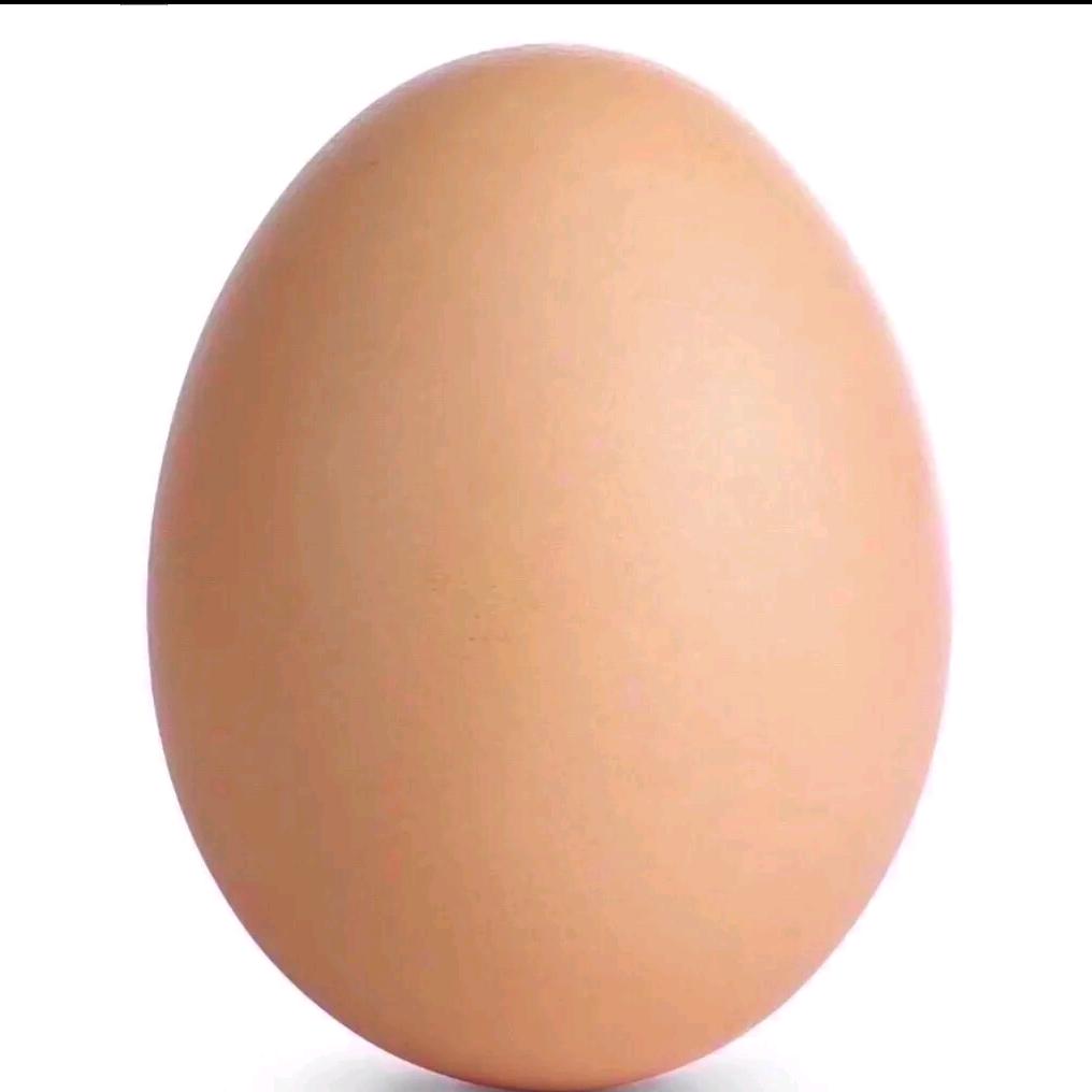 🥚🥚🥚