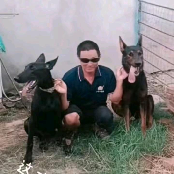 任双喜（独狼）