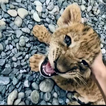 舍ㅤㅤ ㅤㅤ ㅤㅤ得