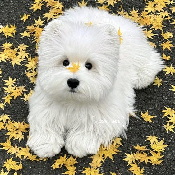 海口易期普创意百货屋