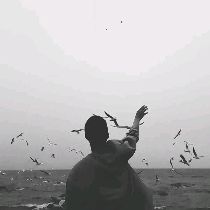 放飞梦想