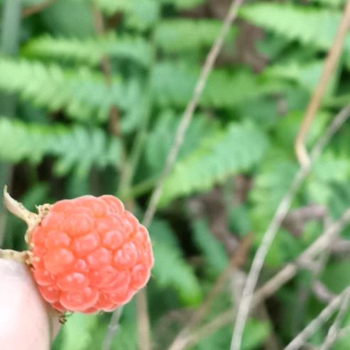 随遇而安🎈