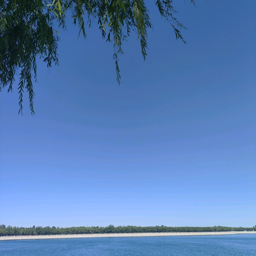 分浅缘尽
