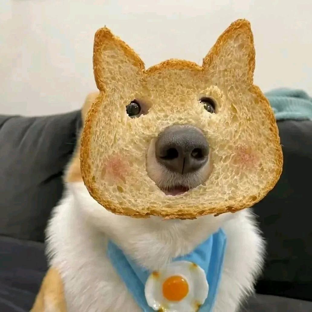 西贝