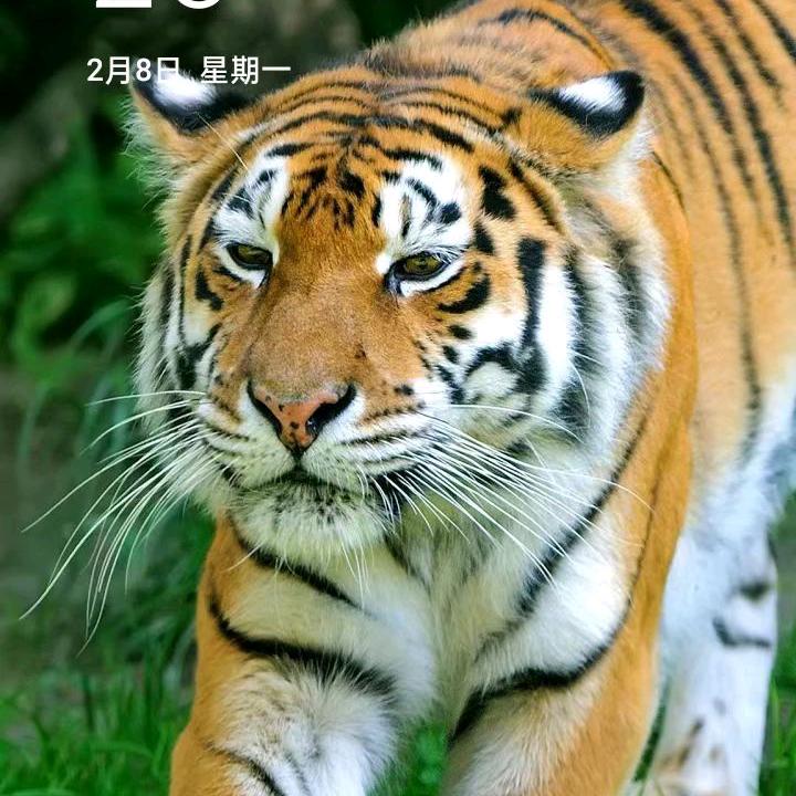 瀚奕博