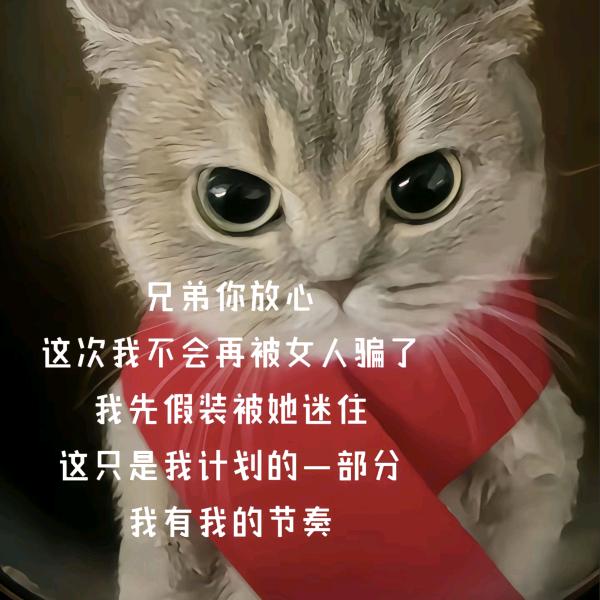 遇事可问春风（专升本备考中）