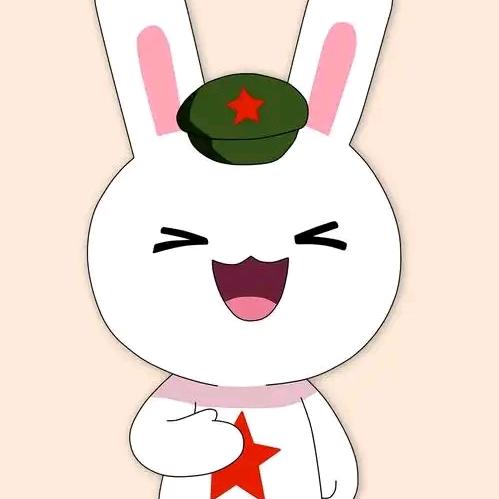 头鹰🦅兔子🐰切片
